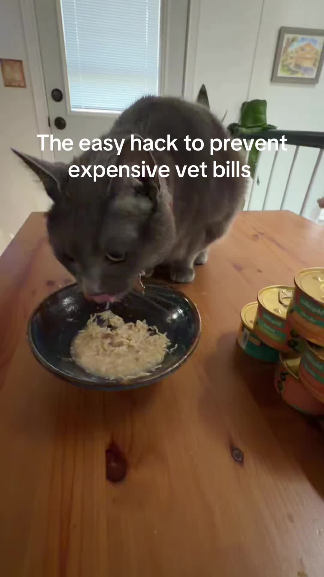 @Vital Paces
