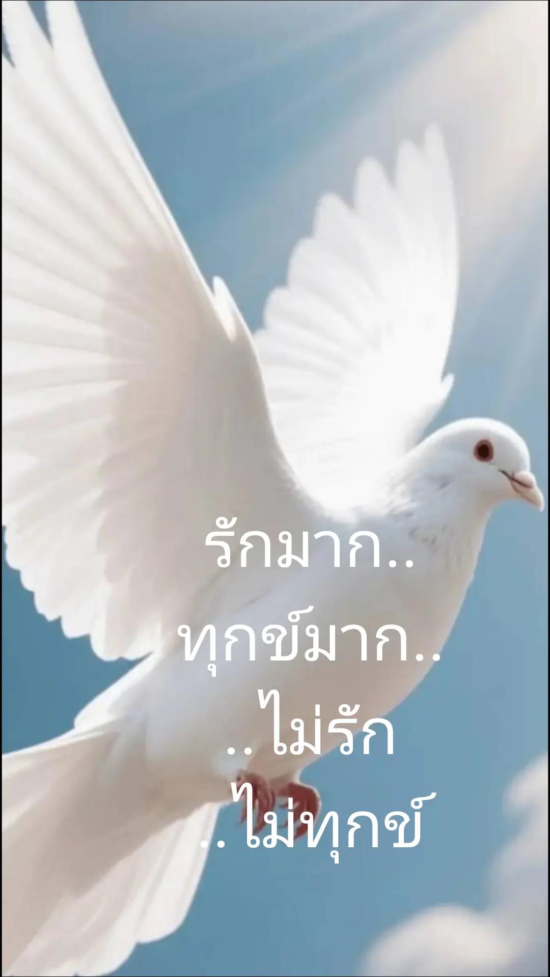 @ขอไม่ใส่ชื่อได้ไหม🌹🌹🦋
