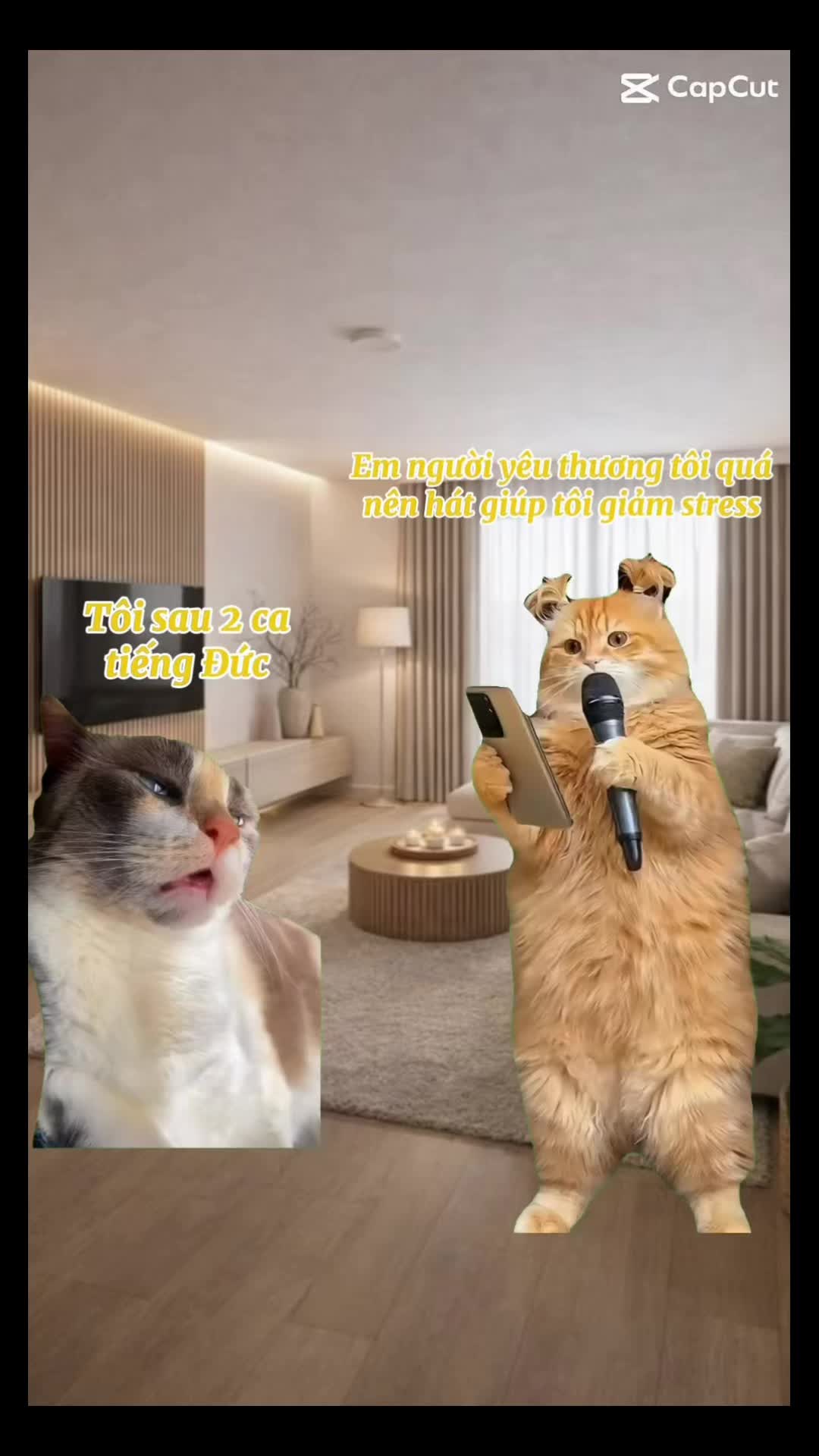 @WirLink Việt Nam