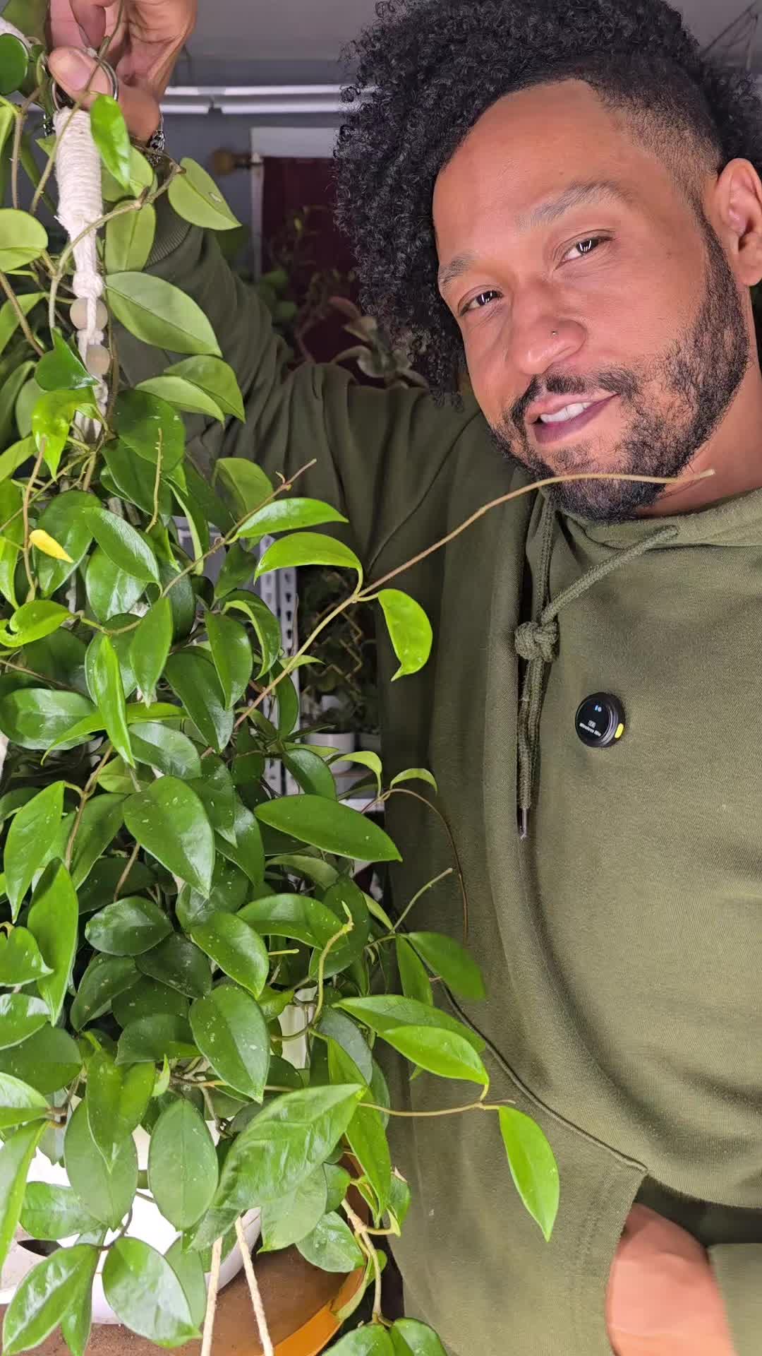 @JT - BigEGOPlants