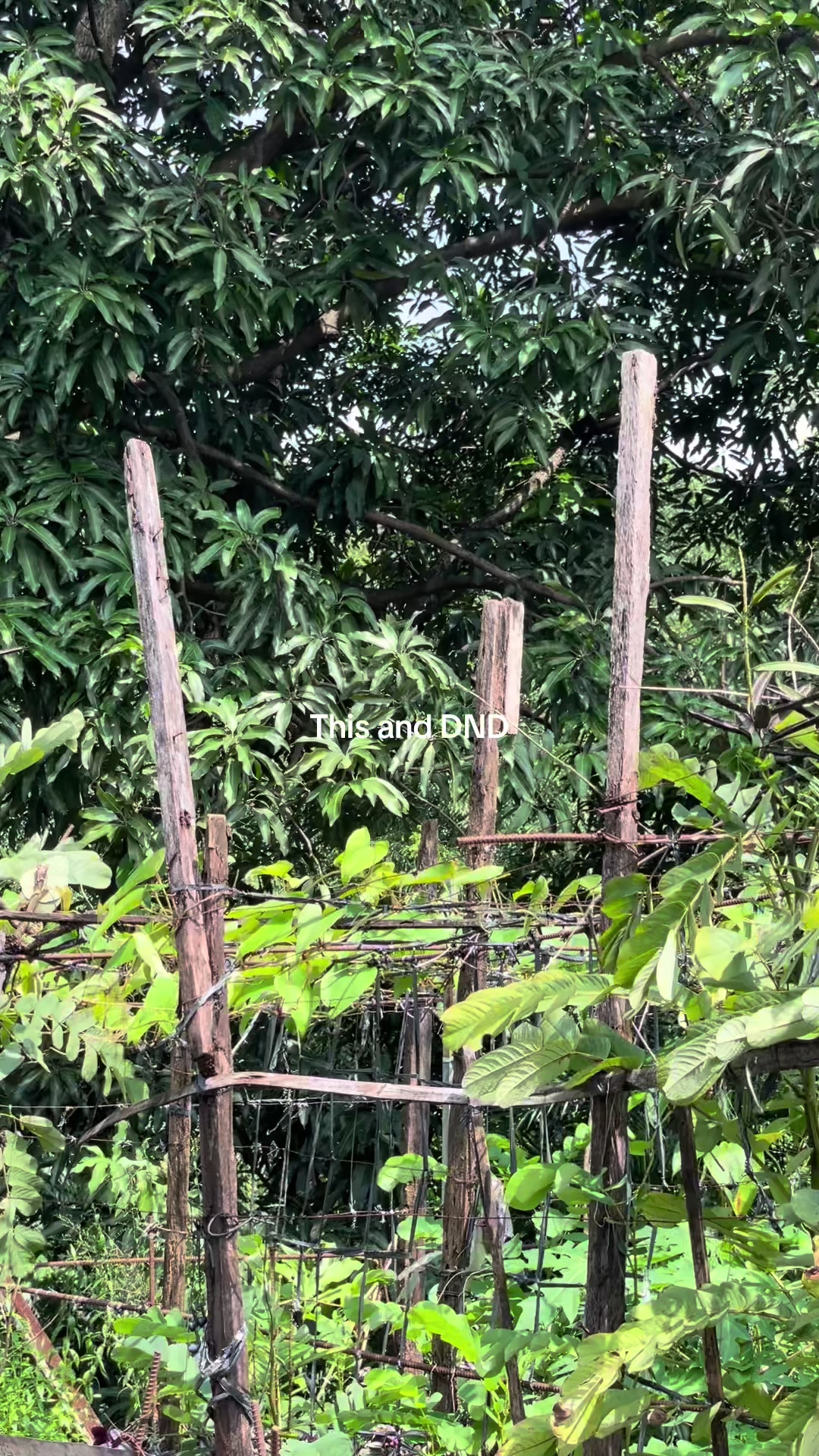 @K&C Farm