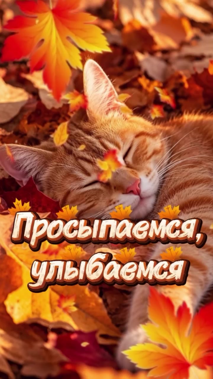 @Светлана