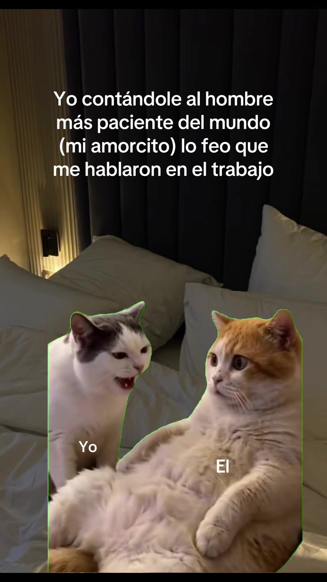 @El Woody 🤠