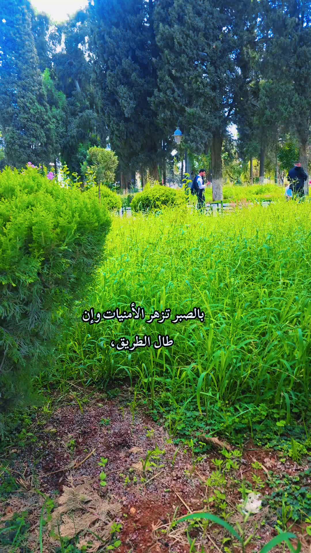 @الراقي🍂