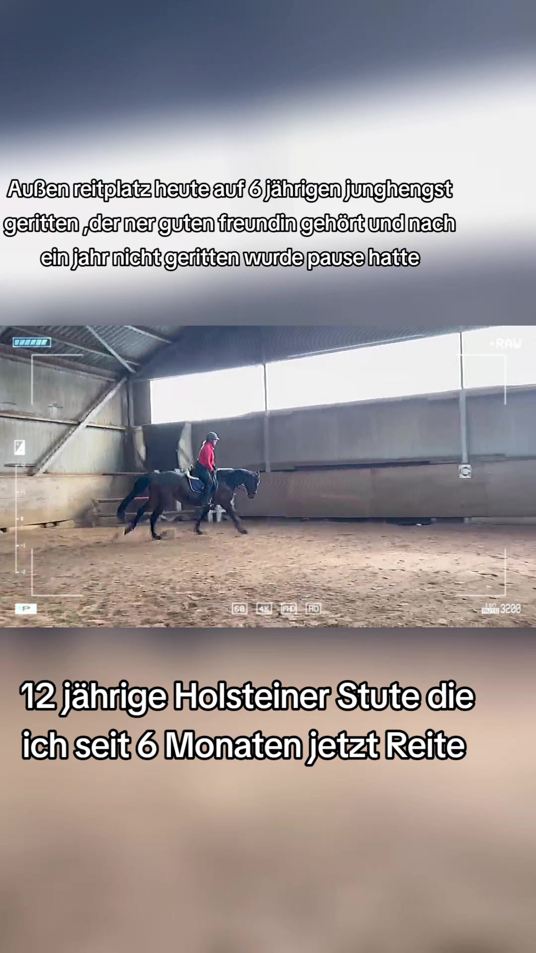 @Sandra Gehrls