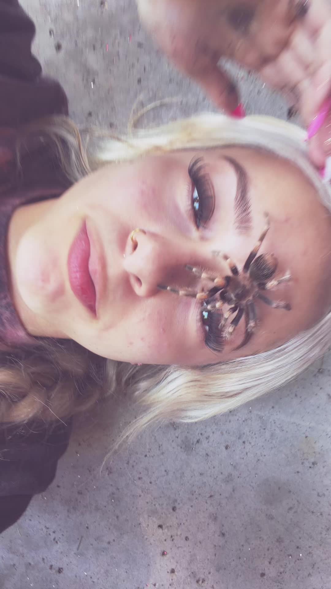@basicblondeorangebitch