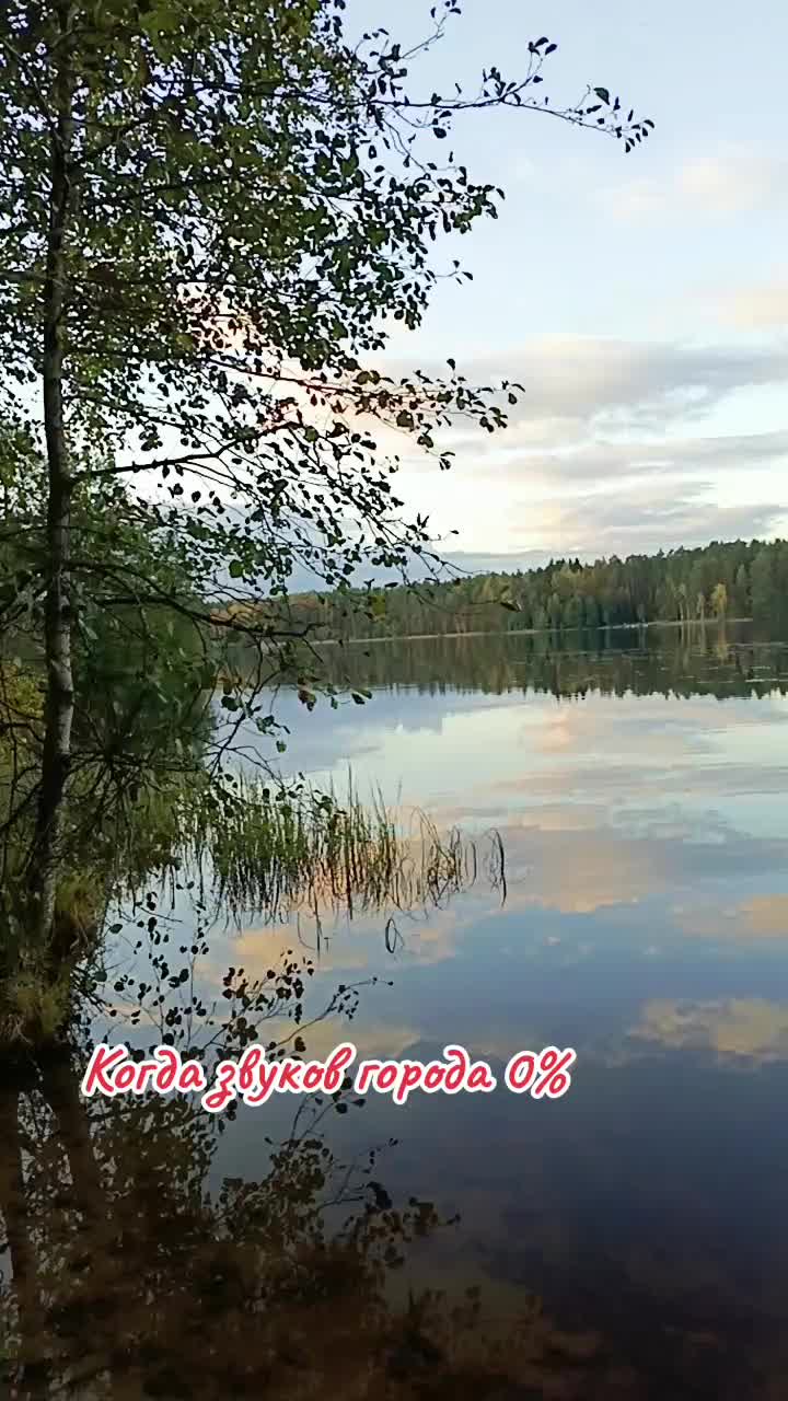 @user2278096979685