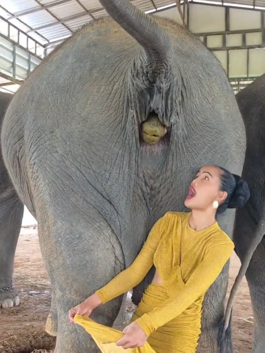 @ควาญช้างสาว"ชาลิดา"