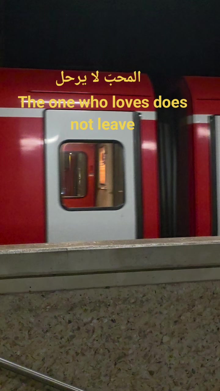 @ali zafar