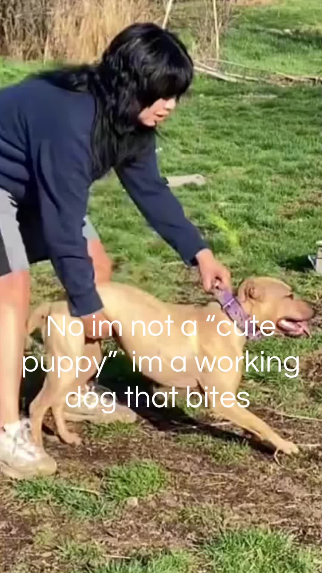 @mimi🐾