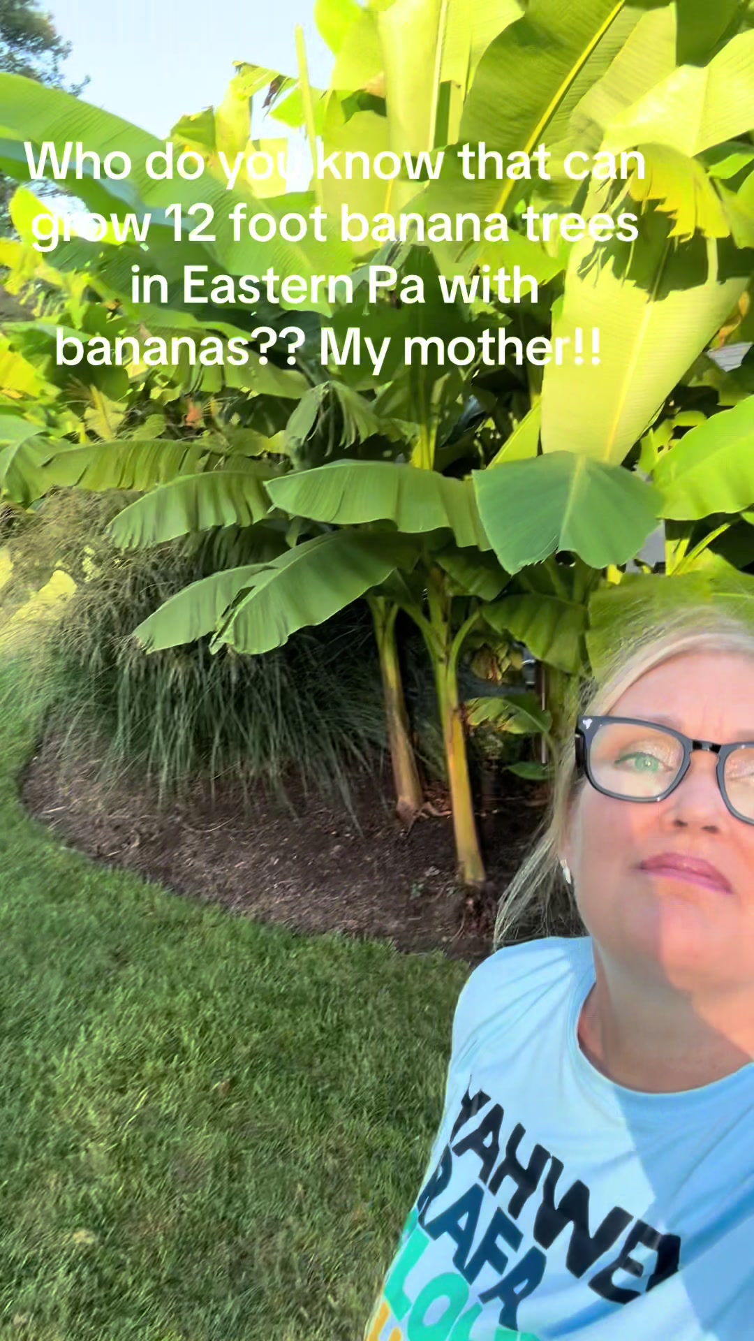 @thelisanichole
