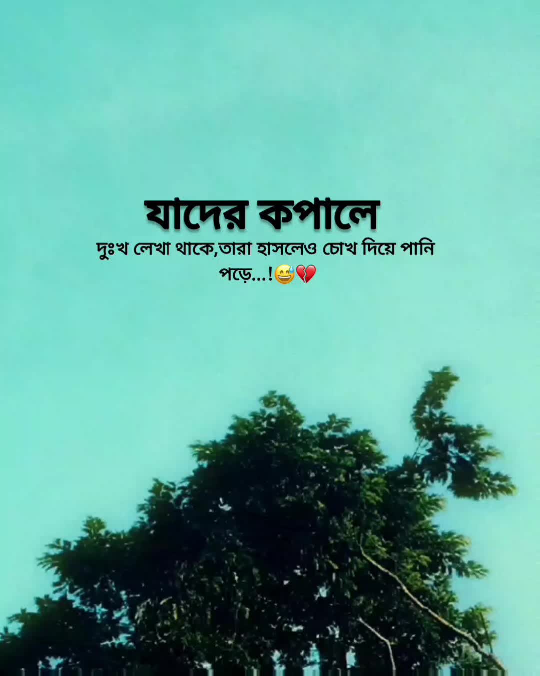 @Rakib Khan