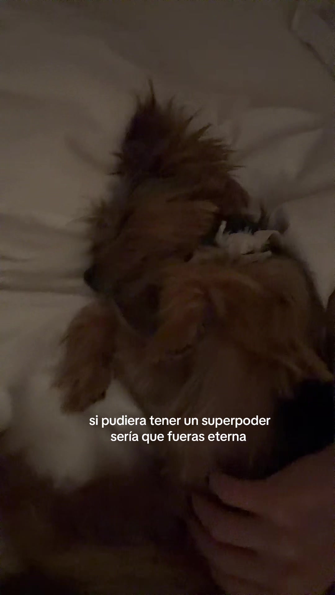 @Isidora Vives🌙