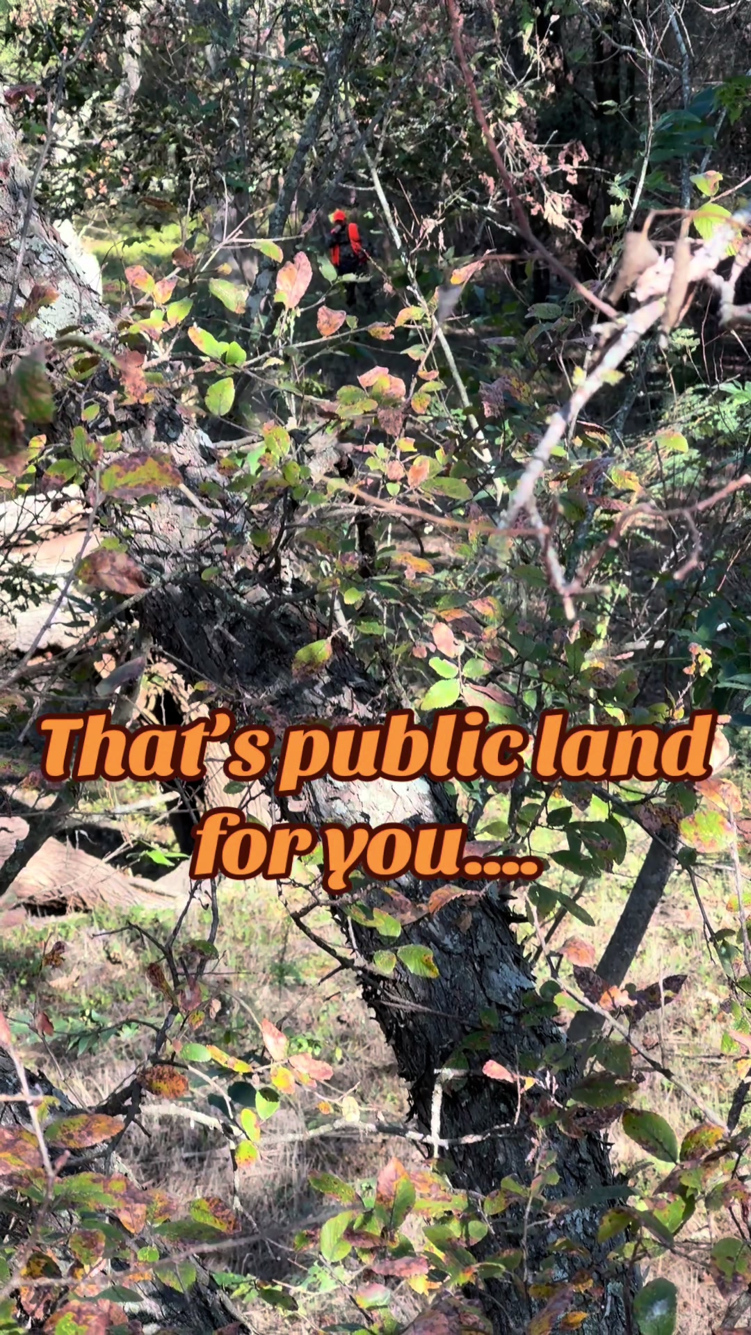 @publicland.legends