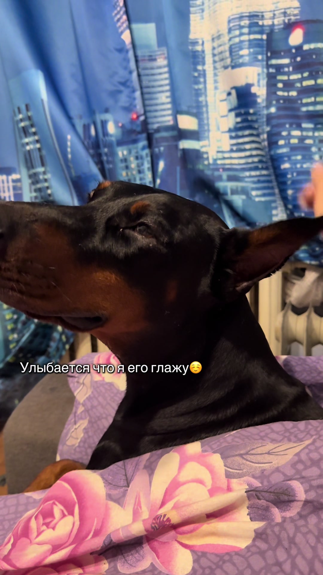 @Tanya&Dober