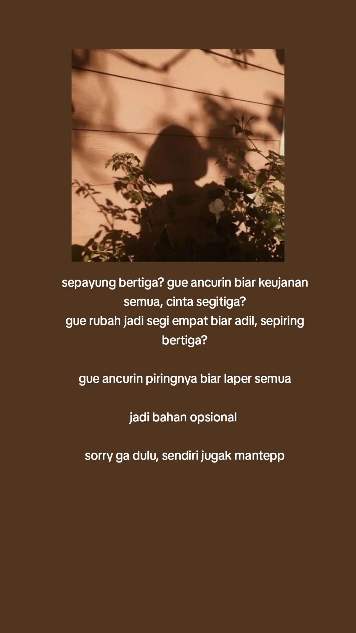 @🤍✨