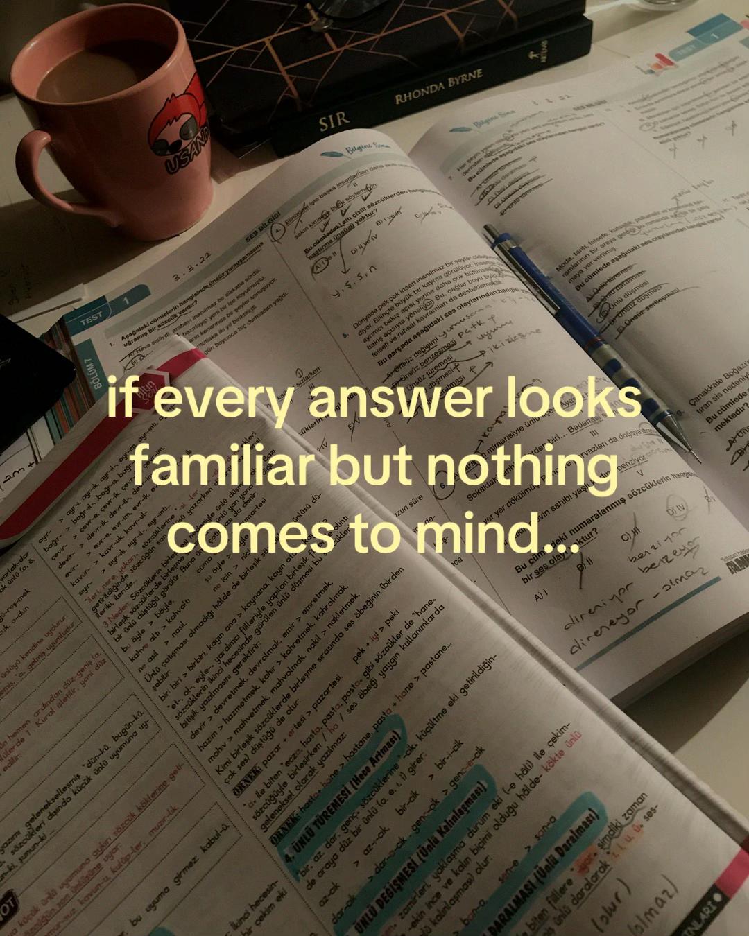 @studytok 📖✨🧠