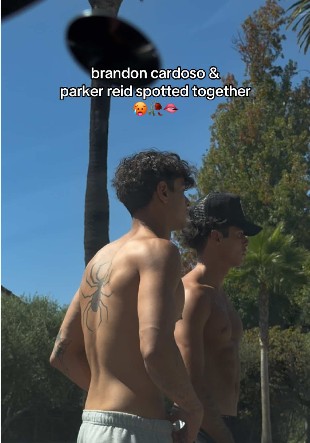 @THE WILD BOYS FANPAGE