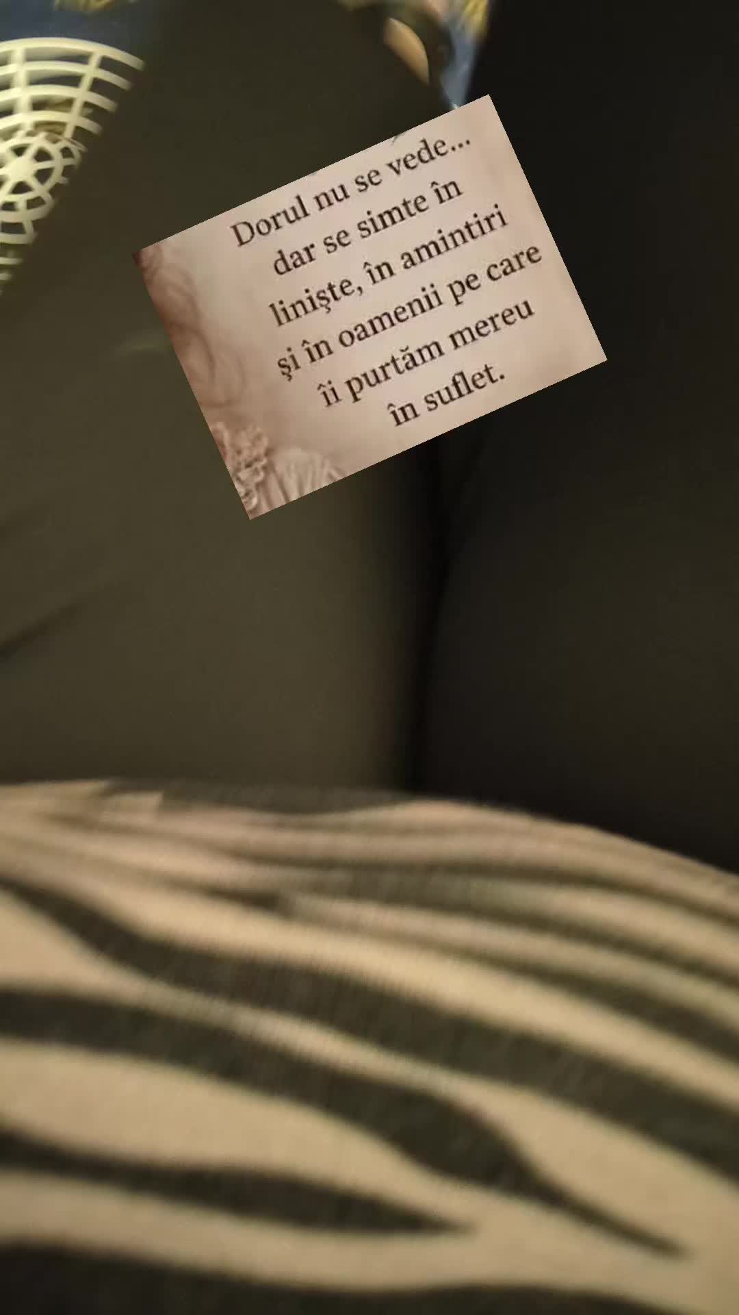 @Anna 61panga