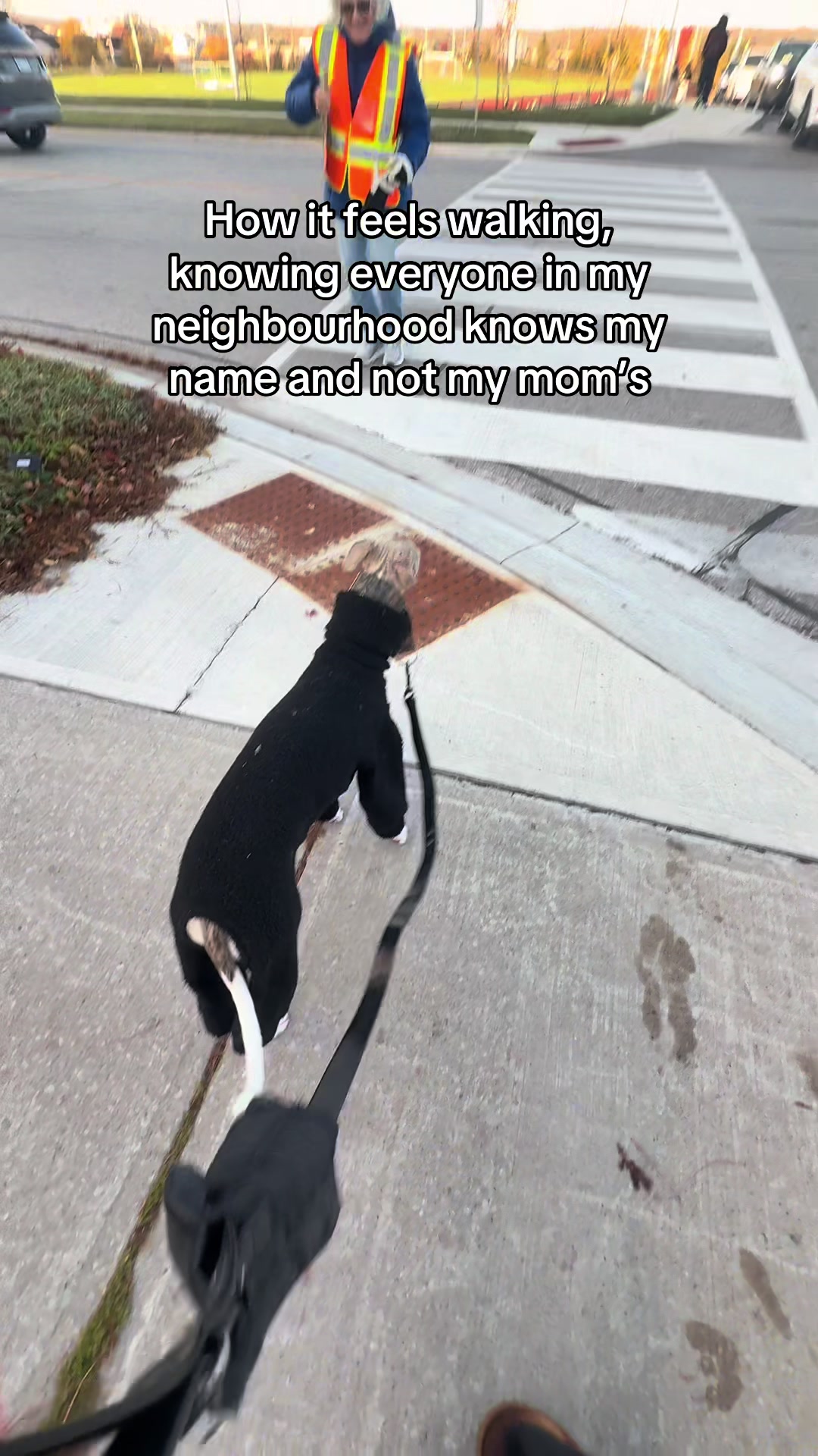 @Kayce Dog🤪🩷