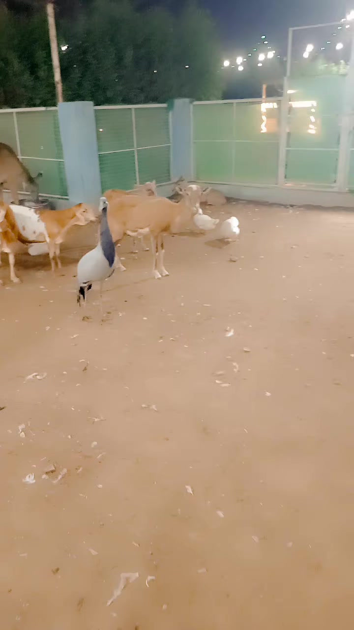 @Minhaj Ali khan