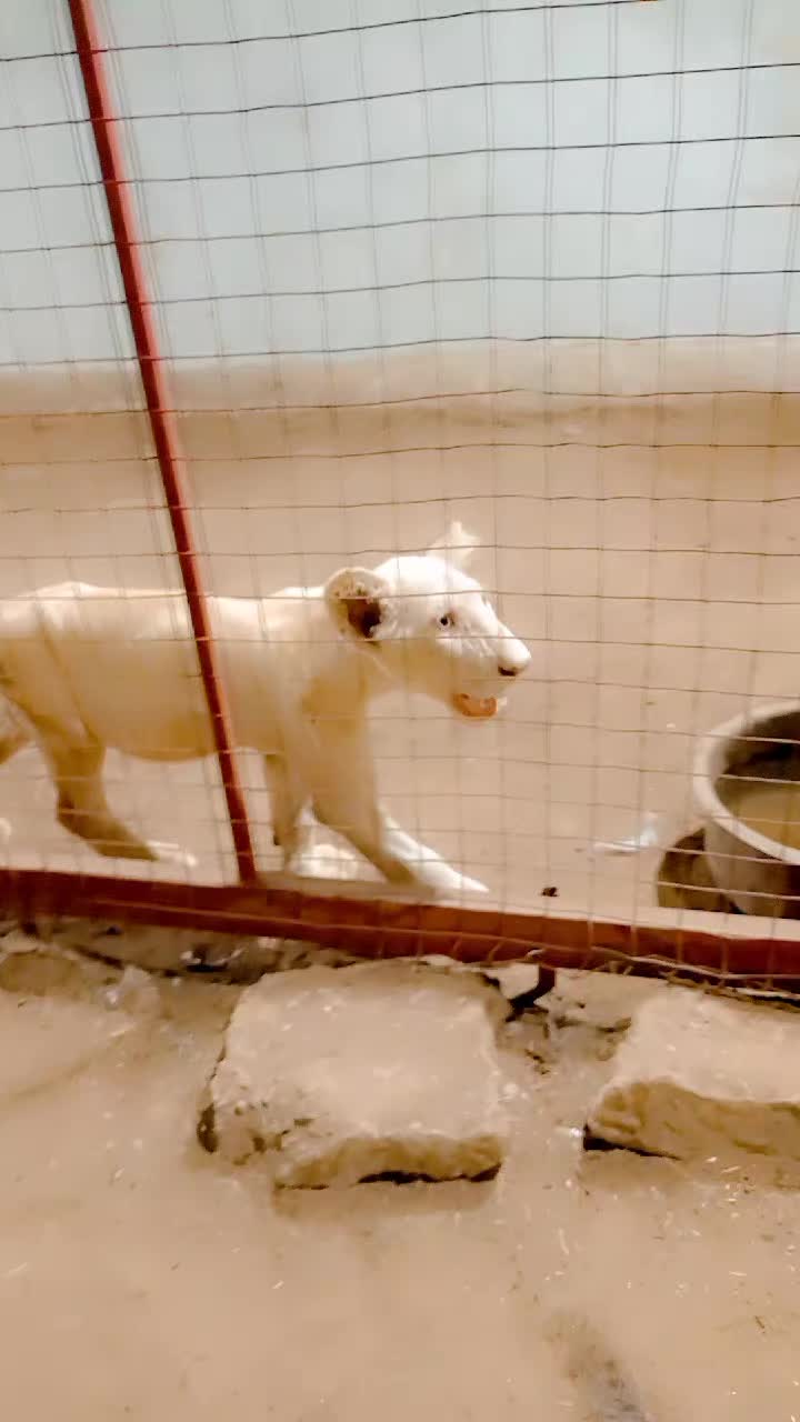 @Minhaj Ali khan