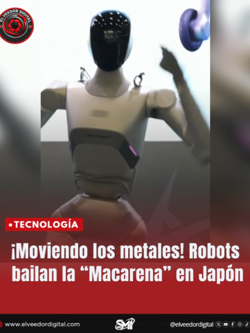@elveedordigital
