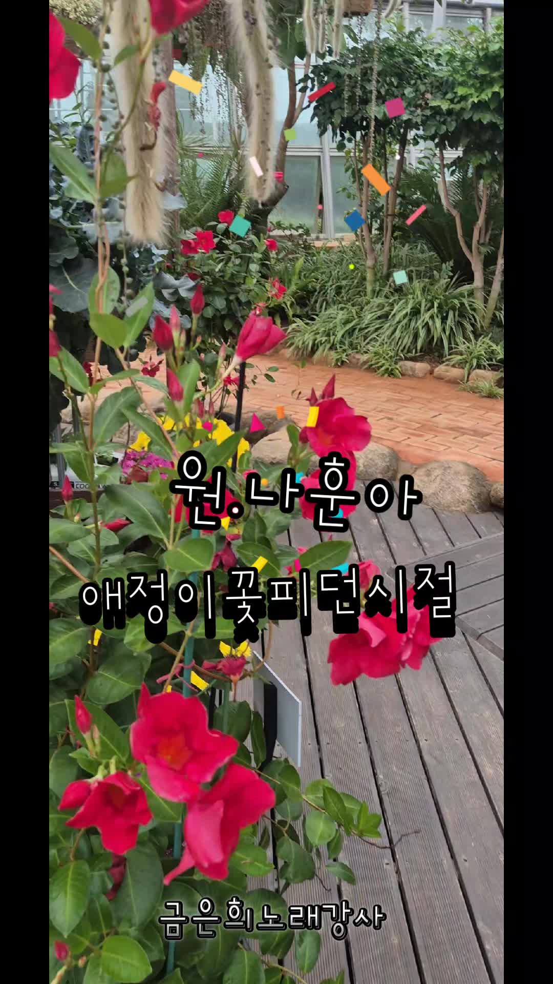 @금은희