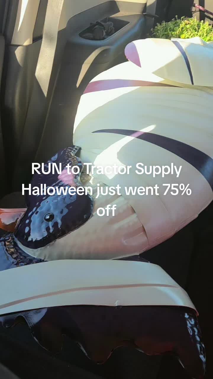 @Kailee