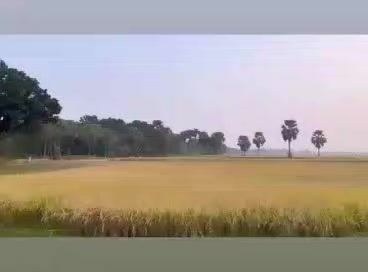 @Disha Bhowmick