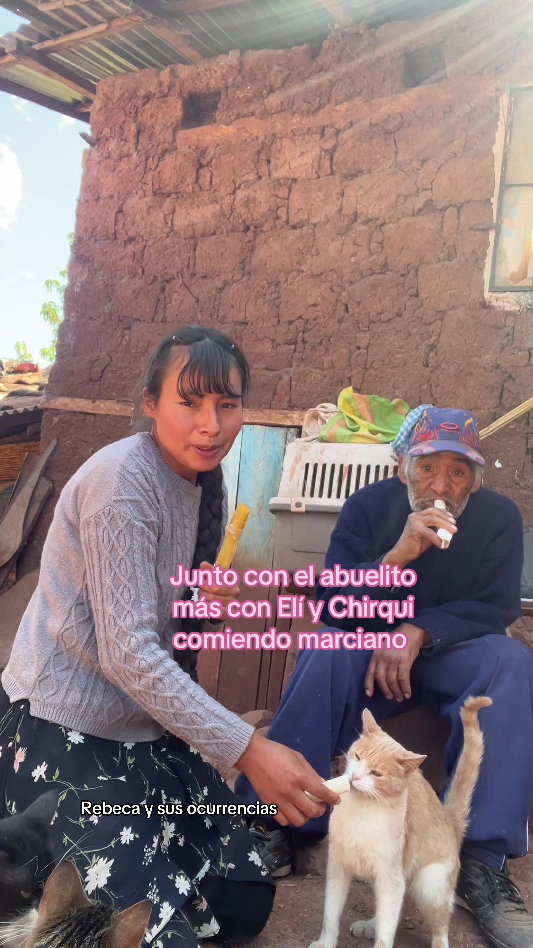 @🐈Rebeca y sus ocurrencias