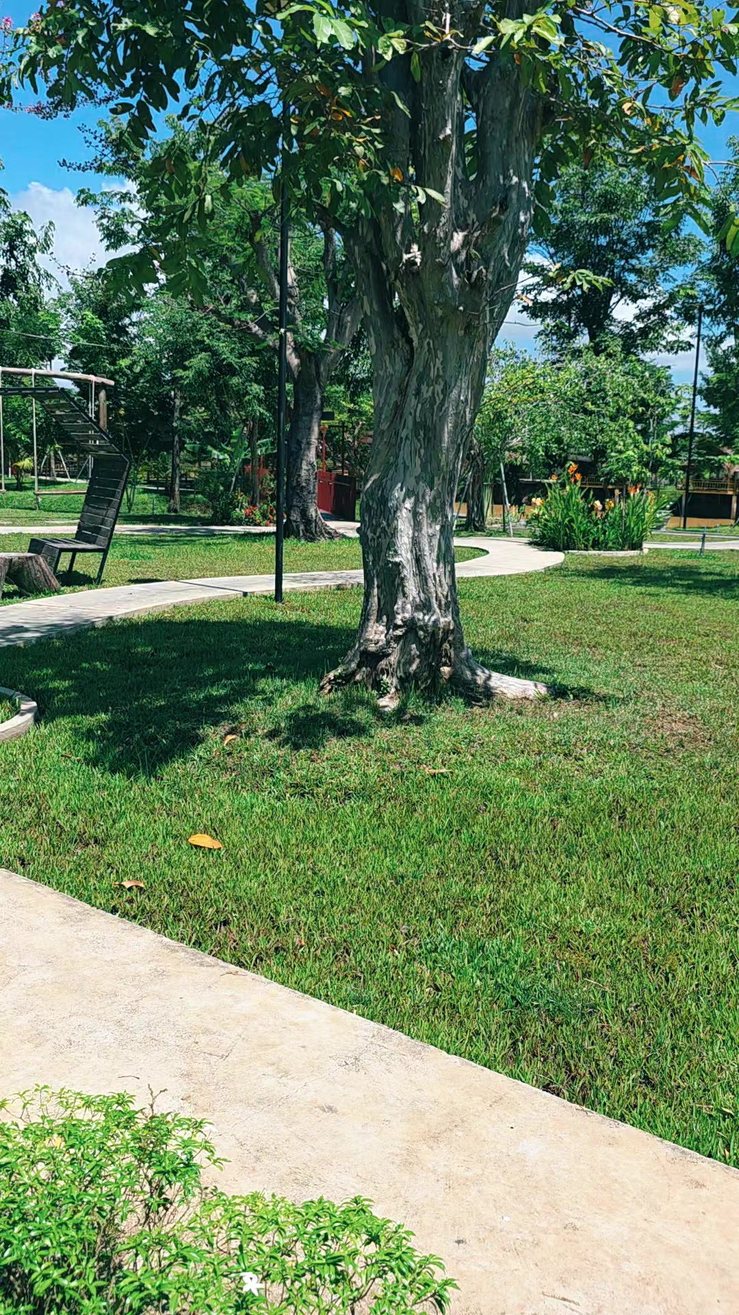 @Rachana