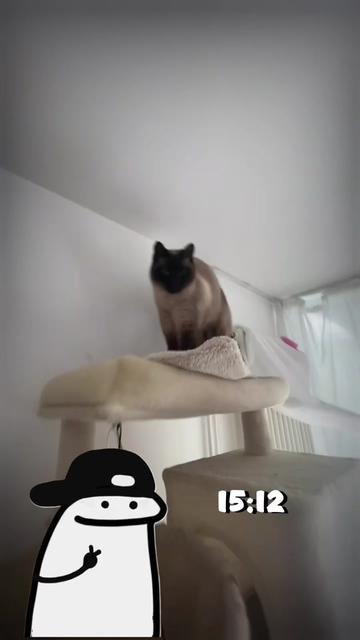 @der_deutsche_aus_47