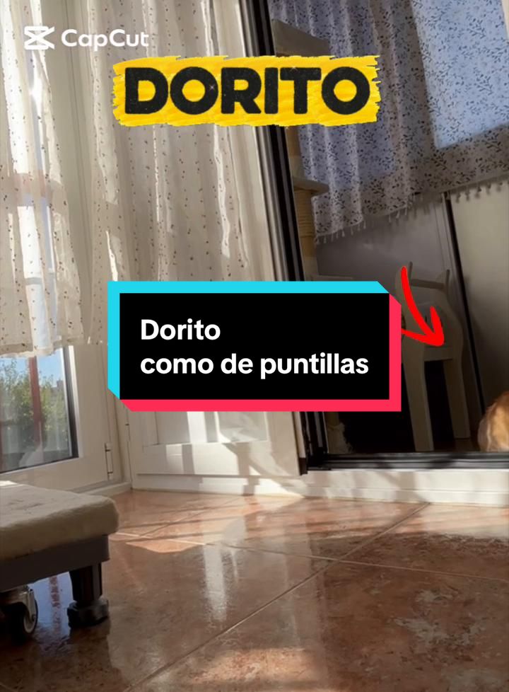 @enGatadas