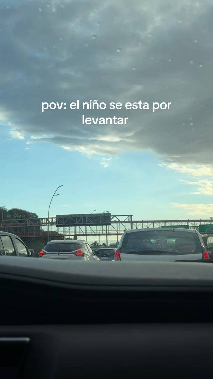 @sofia alfredi