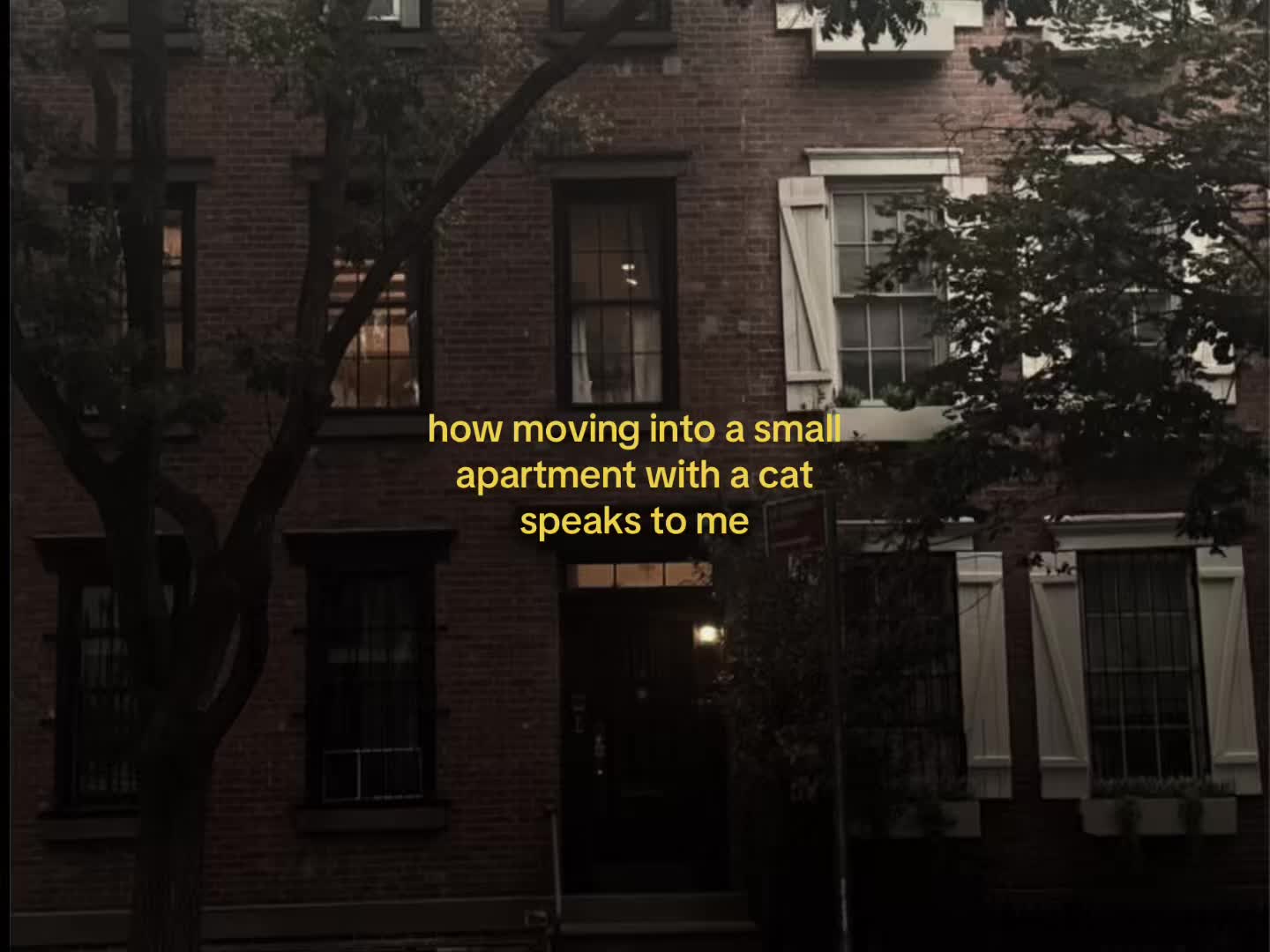 @feelingverycold