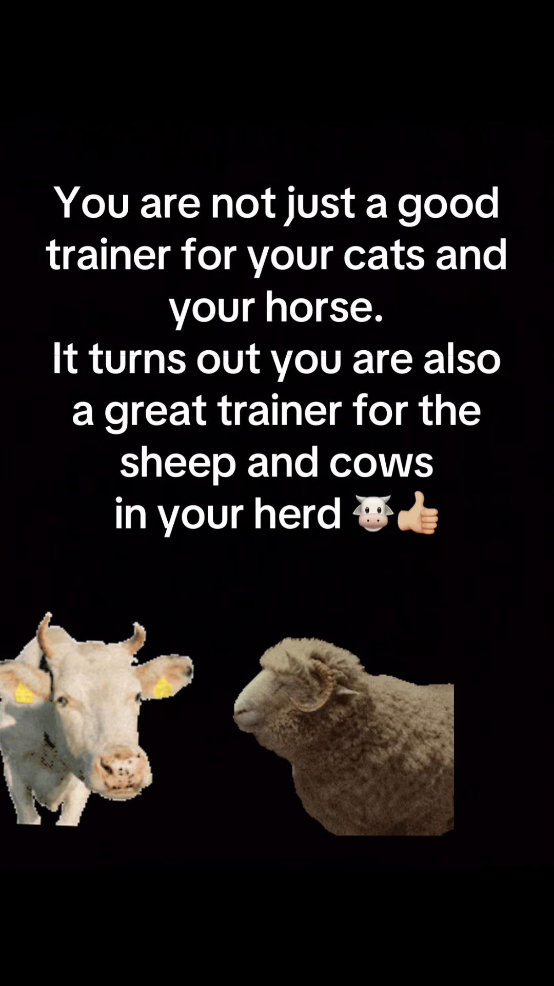 @BTZ