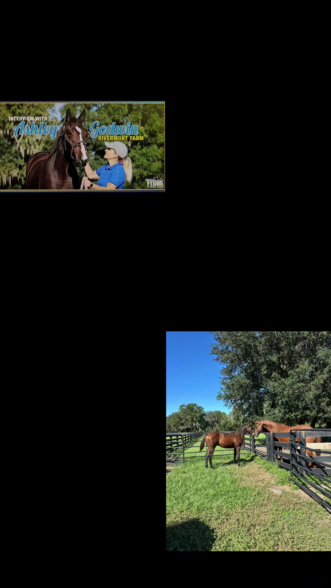@Ashley at Rivermont Farm🐎🐶