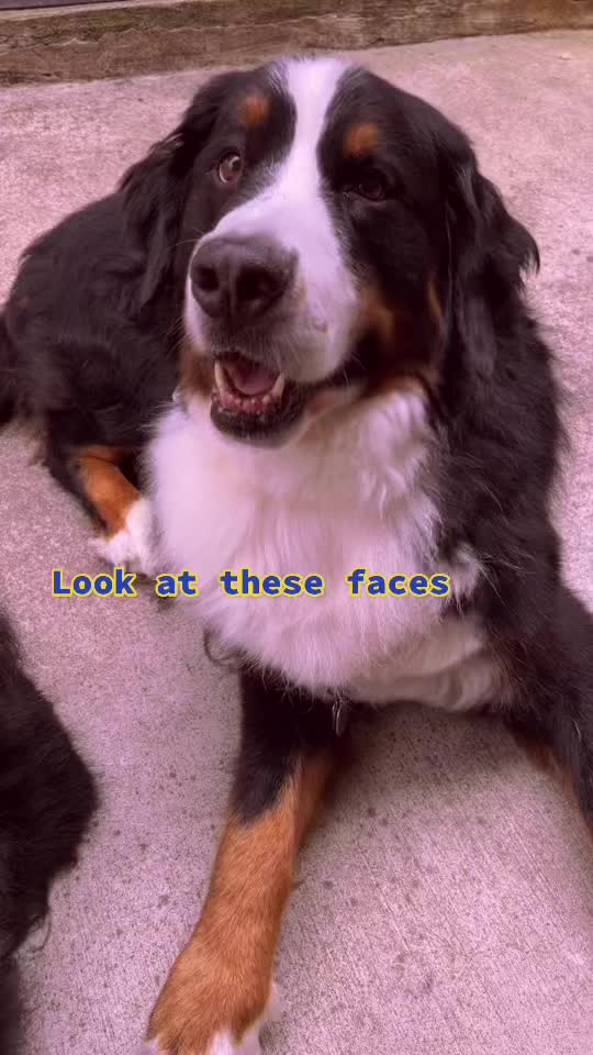 @Alexandra Dombrowski