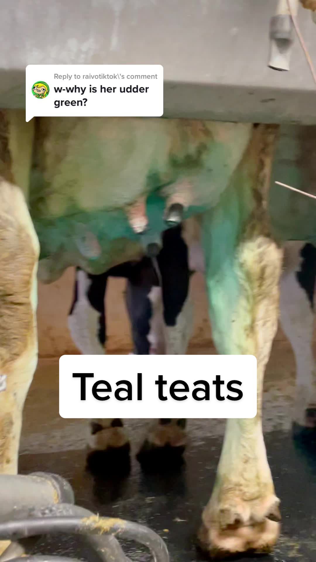 @Dairy Vet Dr. Michelle
