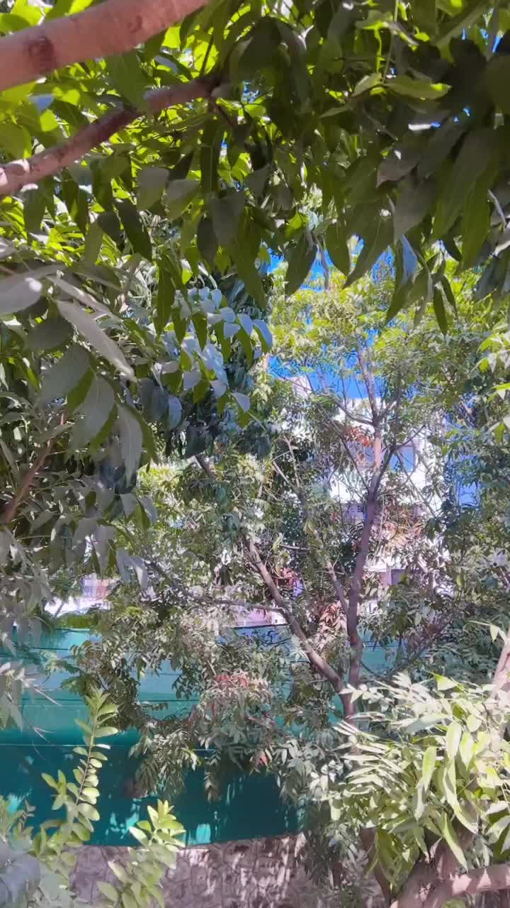 @user67803267152