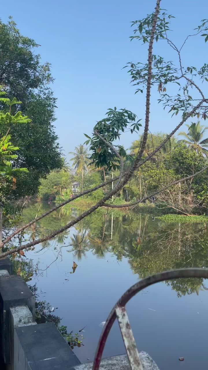 @Surya Sohan