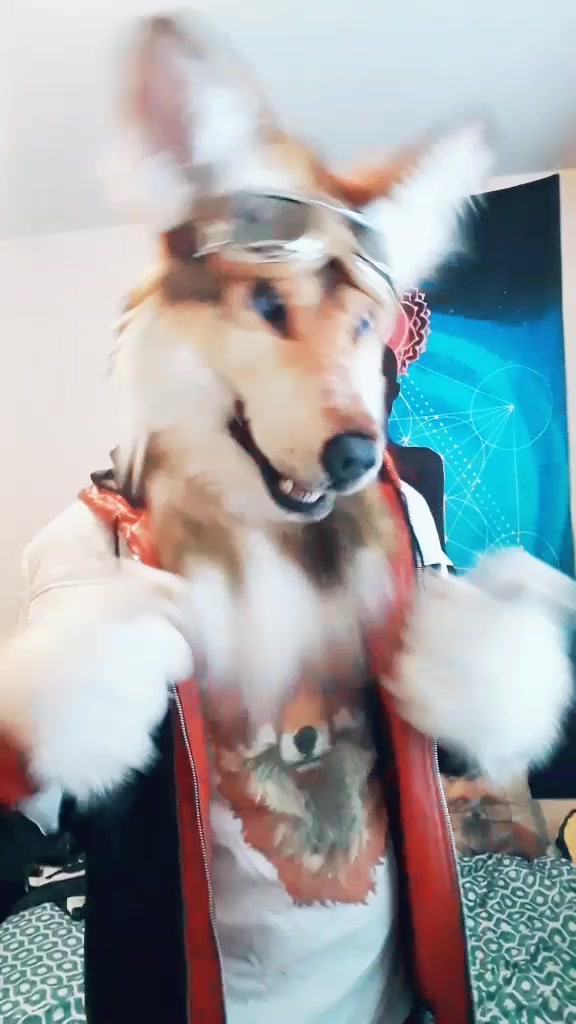@SaltyFox