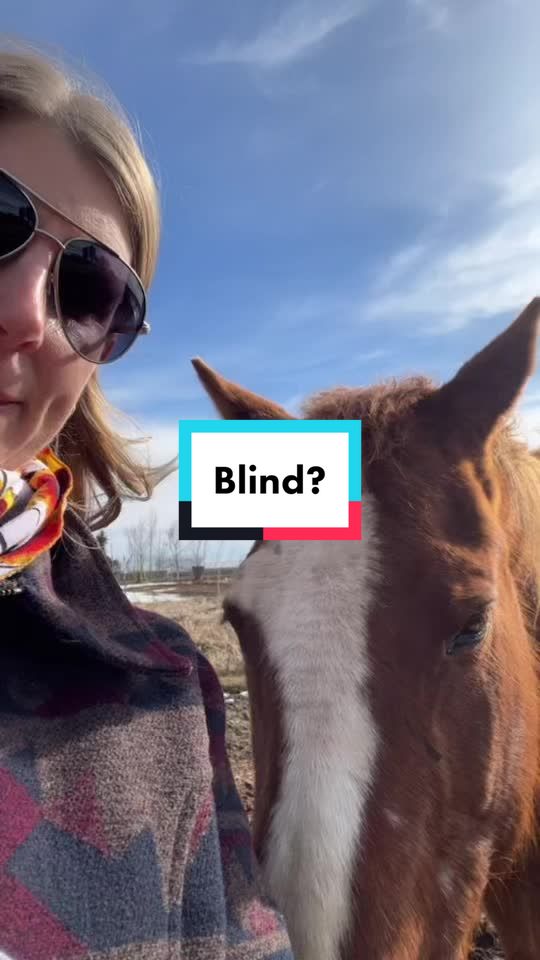 @Shari | Horses & Life Skills