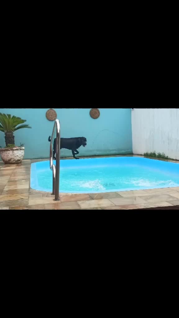 @MARLEY E ELAS