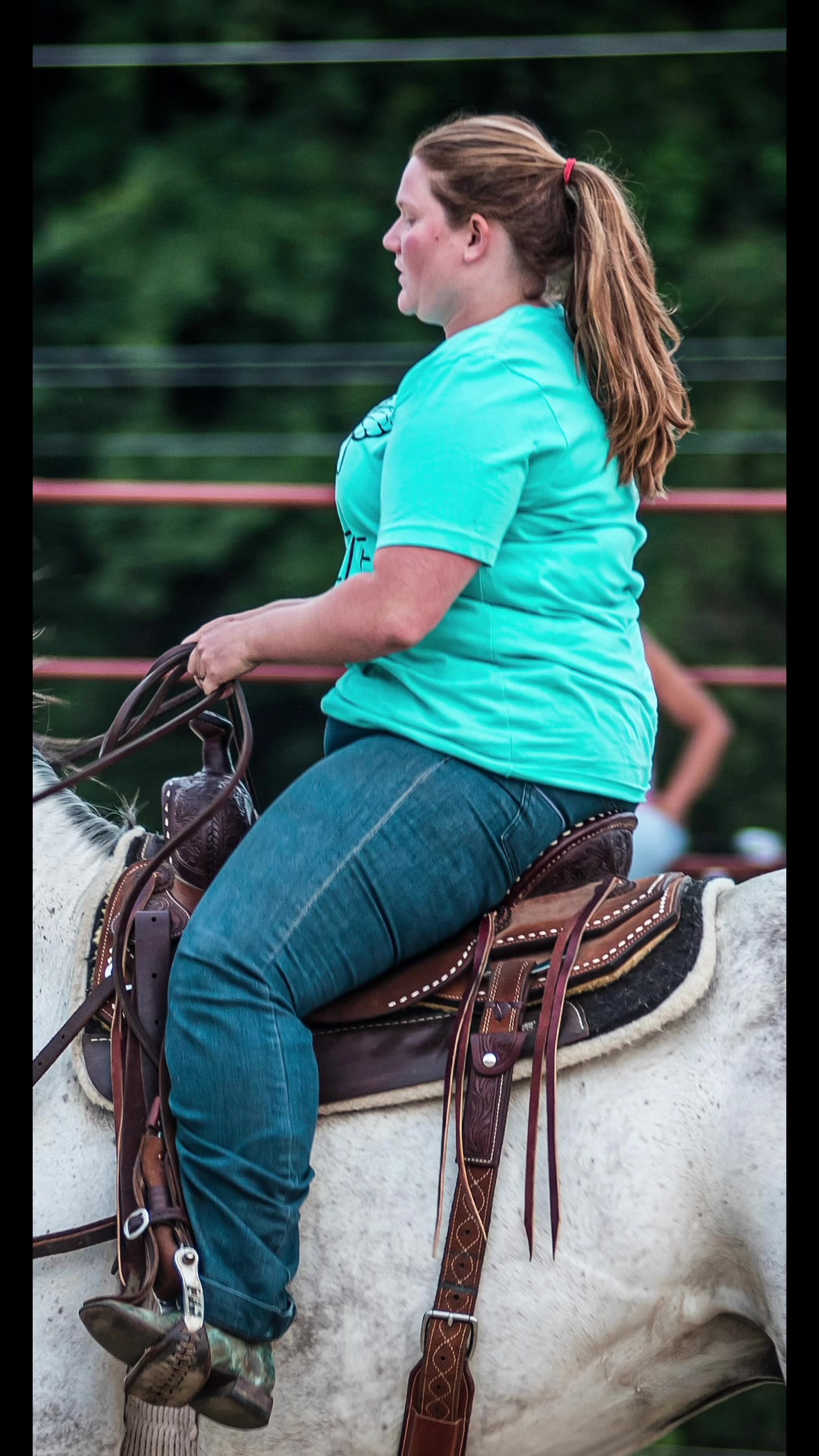 @9 Grey Horses