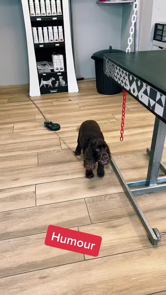 @Groomer ✃ 76