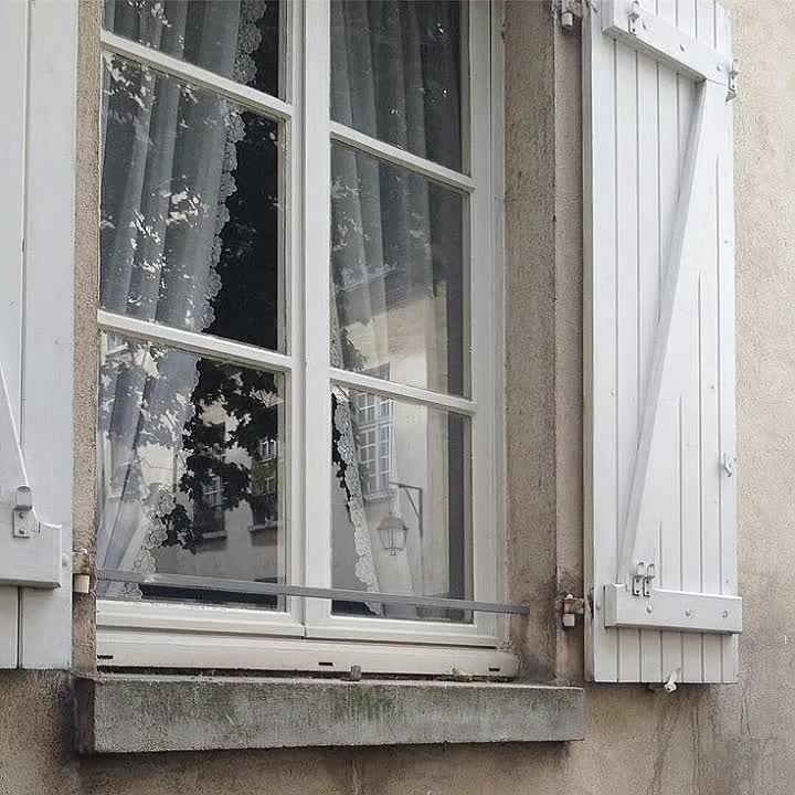 @Lin_zenith