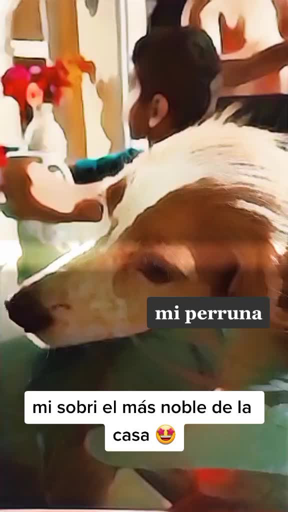 @Jennifer Zabala