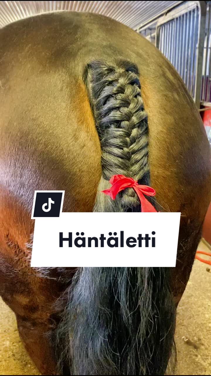 @kumpum&auml;en ratsastajat